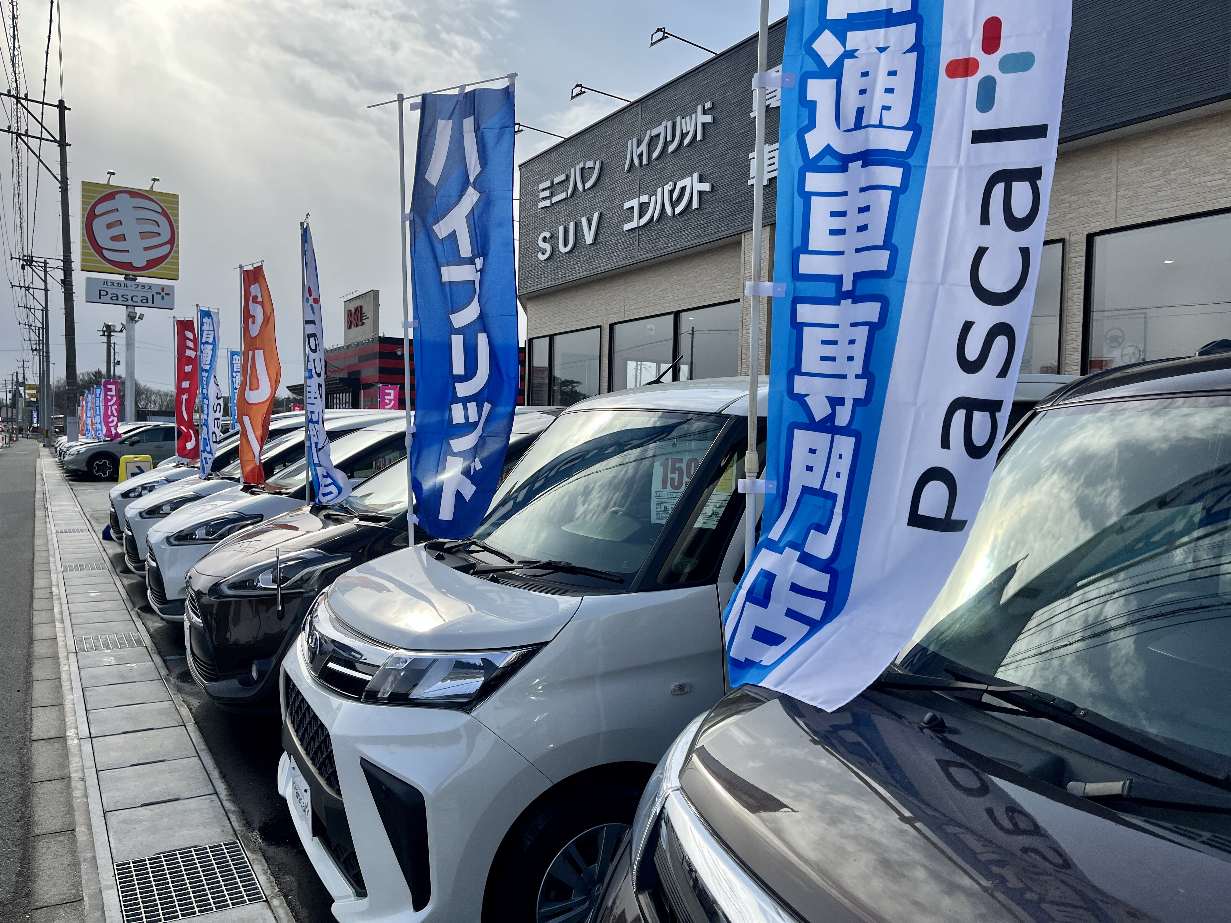 普通車専門店パスカルプラス